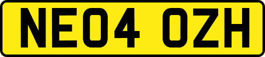 NE04OZH