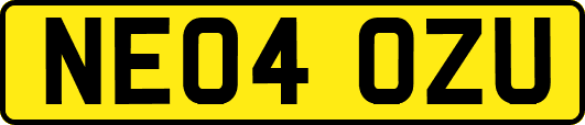 NE04OZU
