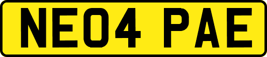 NE04PAE