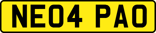 NE04PAO