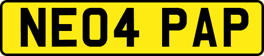 NE04PAP