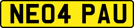NE04PAU
