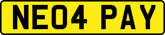 NE04PAY