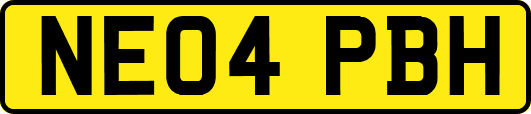 NE04PBH
