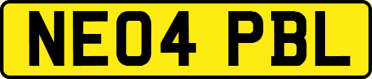 NE04PBL