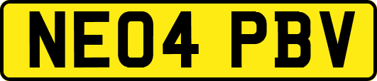 NE04PBV
