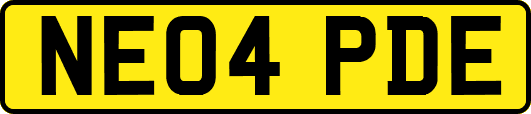 NE04PDE