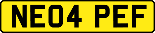 NE04PEF