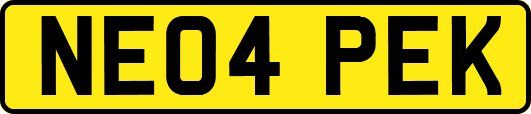 NE04PEK