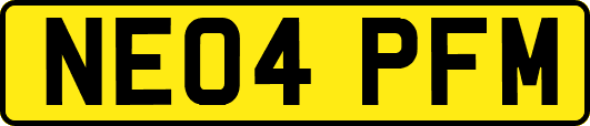 NE04PFM