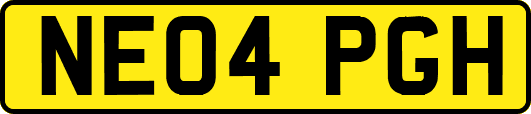 NE04PGH