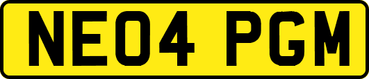 NE04PGM