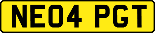 NE04PGT