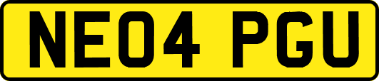 NE04PGU