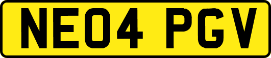 NE04PGV