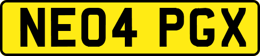 NE04PGX