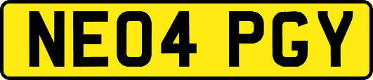 NE04PGY