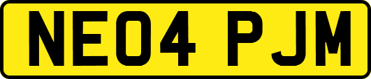 NE04PJM