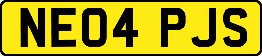 NE04PJS