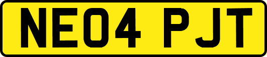 NE04PJT