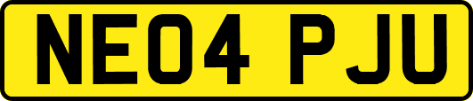 NE04PJU