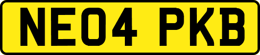 NE04PKB