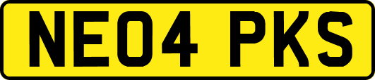 NE04PKS