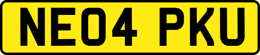 NE04PKU