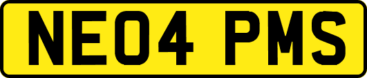 NE04PMS