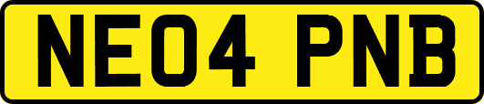 NE04PNB