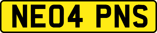 NE04PNS