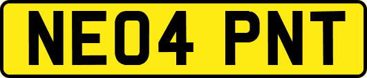 NE04PNT