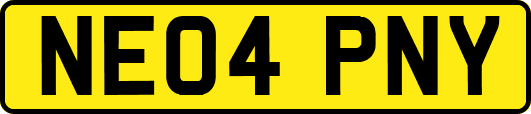 NE04PNY