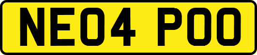 NE04POO