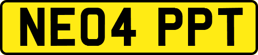 NE04PPT