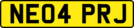 NE04PRJ