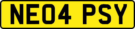 NE04PSY
