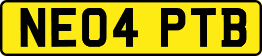 NE04PTB