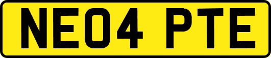 NE04PTE