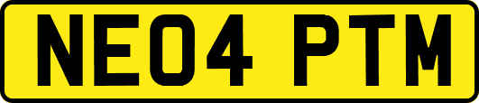 NE04PTM