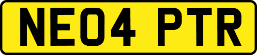 NE04PTR