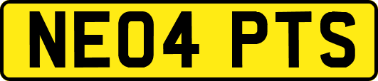NE04PTS