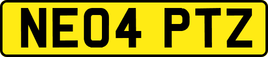 NE04PTZ