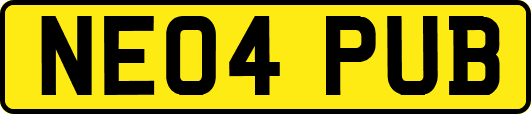 NE04PUB