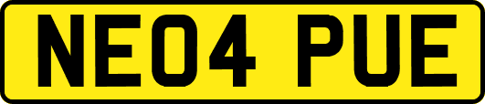 NE04PUE