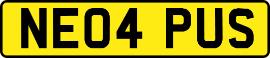 NE04PUS