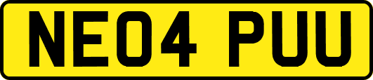 NE04PUU