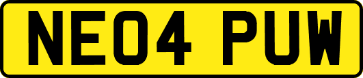 NE04PUW