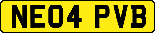 NE04PVB