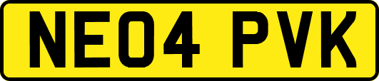 NE04PVK